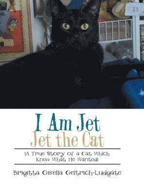 bokomslag I Am Jet Jet the Cat: (A True Story of a Cat Which Knew What He Wanted)