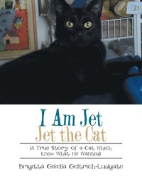 bokomslag I Am Jet Jet the Cat