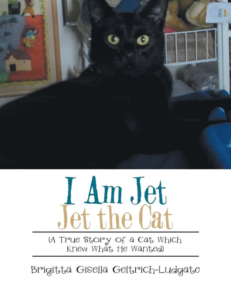 I Am Jet Jet the Cat 1