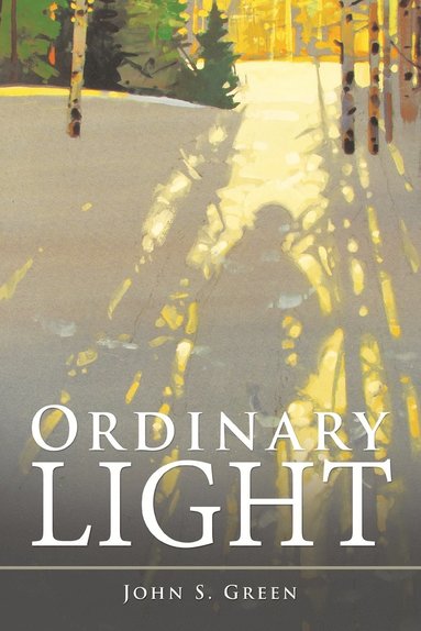 bokomslag Ordinary Light