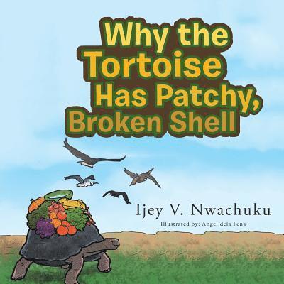 Why the Tortoise Has Patchy, Broken Shell 1