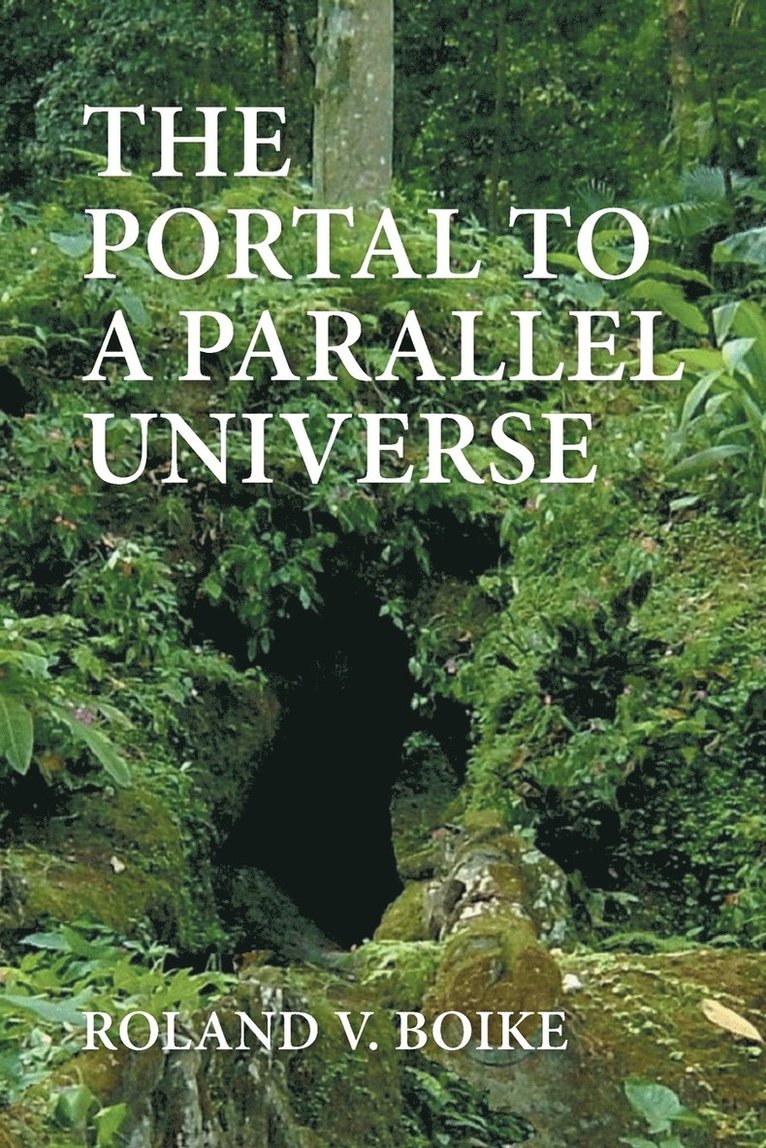 The Portal to a Parallel Universe 1