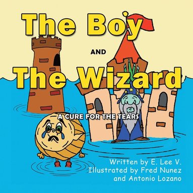 bokomslag Boy and the Wizard