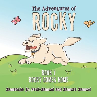 bokomslag Adventures of Rocky