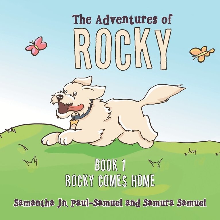 The Adventures of Rocky 1