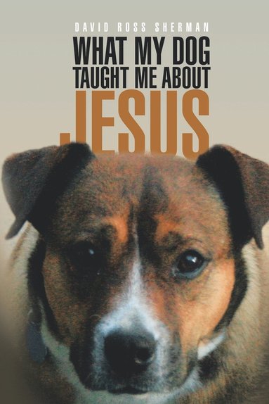 bokomslag What My Dog Taught Me About Jesus