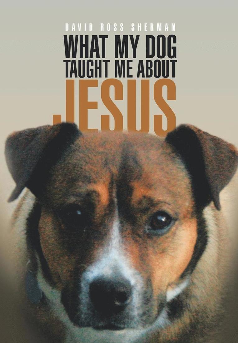 What My Dog Taught Me About Jesus 1