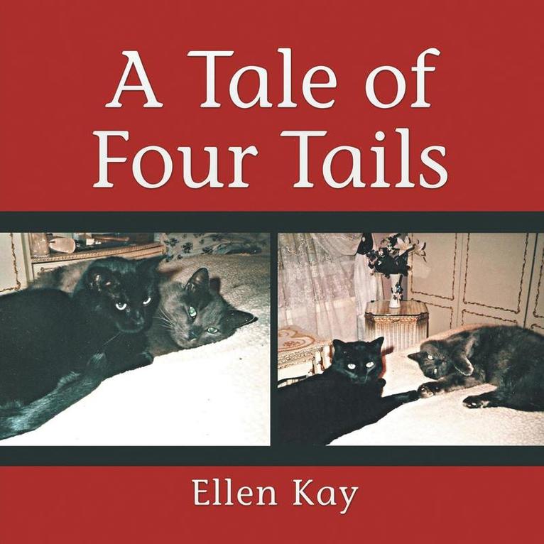 A Tale of Four Tails 1