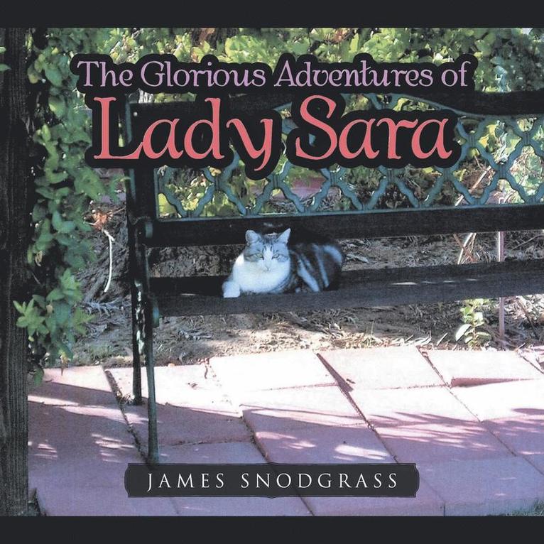James Snodgrass - Glorious Adventures of Lady Sara, Häftad