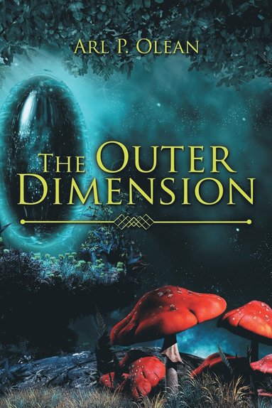 bokomslag The Outer Dimension