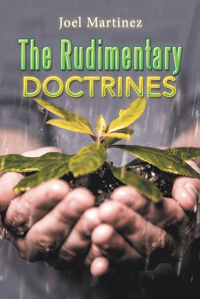 Joel Martinez - Rudimentary Doctrines, Häftad