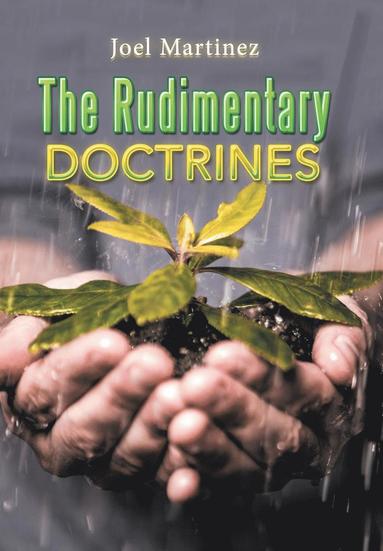 bokomslag Rudimentary Doctrines