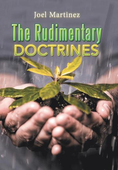 bokomslag The Rudimentary Doctrines