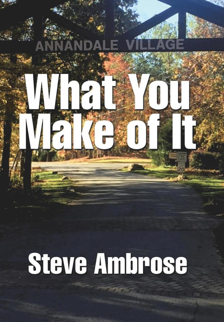 Steve Ambrose - What You Make of It, Inbunden