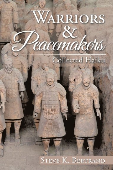 bokomslag Warriors & Peacemakers