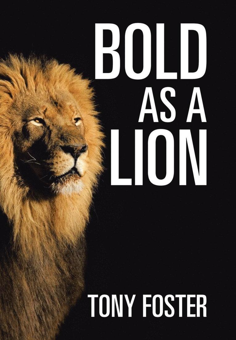 Bold As A Lion 1