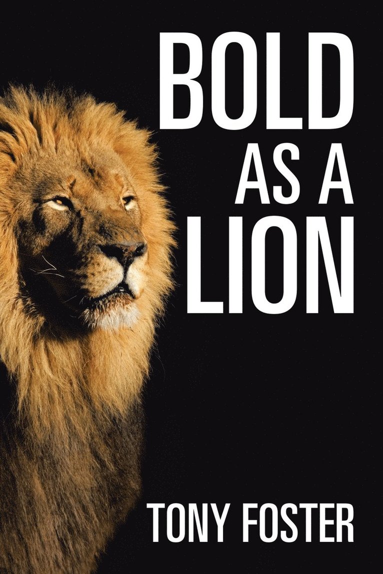 Bold As A Lion 1