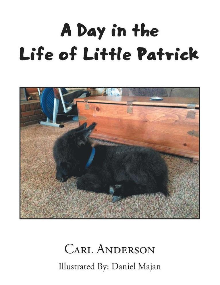 A Day in the Life of Little Patrick 1