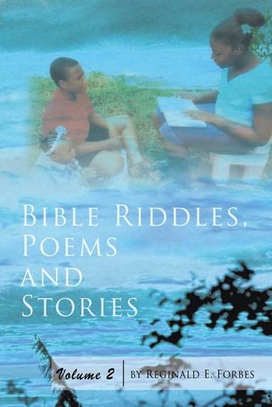 bokomslag Bible Riddles, Poems and Stories