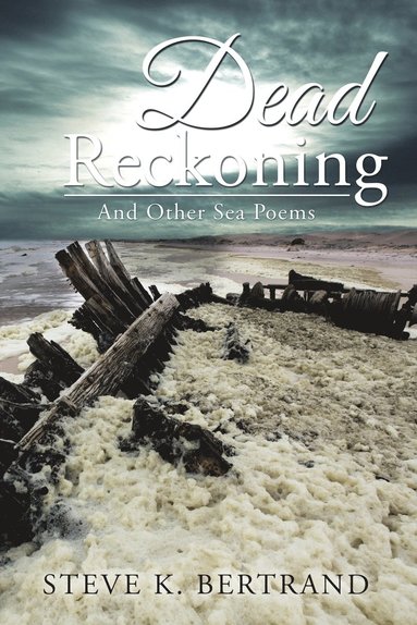 bokomslag Dead Reckoning