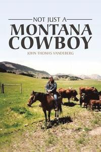 bokomslag Not Just a Montana Cowboy