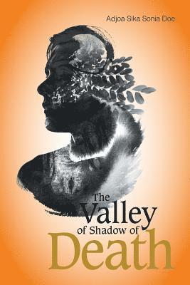 bokomslag Valley of Shadow of Death