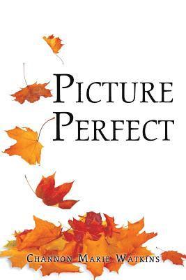 Picture Perfect 1