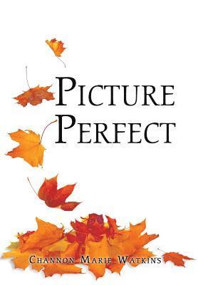 Picture Perfect 1