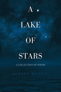 bokomslag Lake of Stars