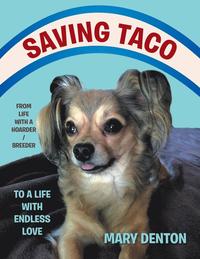 bokomslag Saving Taco