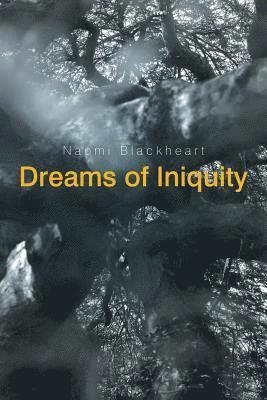 bokomslag Dreams of Iniquity