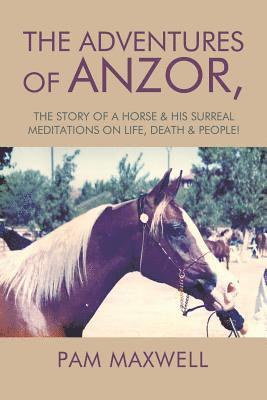 The Adventures of Anzor 1