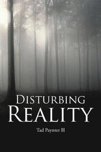 bokomslag Disturbing Reality