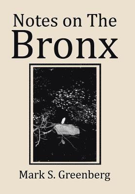 Notes on The Bronx 1