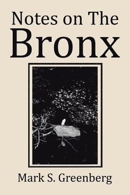 Notes on The Bronx 1