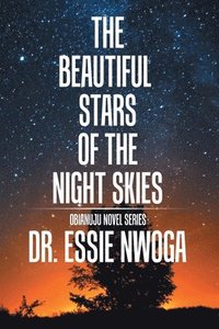 bokomslag The Beautiful Stars of the Night Skies