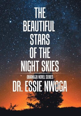 The Beautiful Stars of the Night Skies 1
