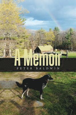 Peter Baldwin - Memoir, Häftad