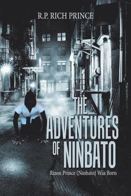 bokomslag Adventures of Ninbato