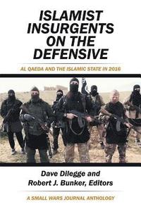 bokomslag Islamist Insurgents on the Defensive