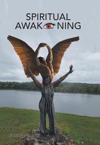 bokomslag Spiritual Awakening