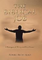 bokomslag The Biblical Job