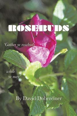 bokomslag Rosebuds