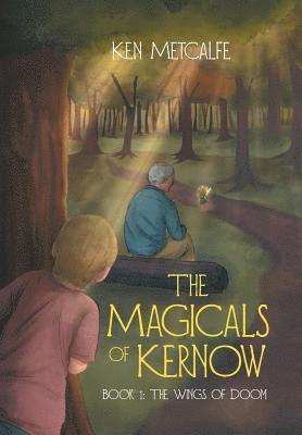 Ken Metcalfe - Magicals of Kernow, Inbunden