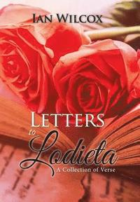 bokomslag Letters to Lodieta