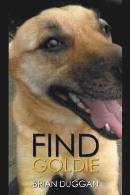 Find Goldie 1