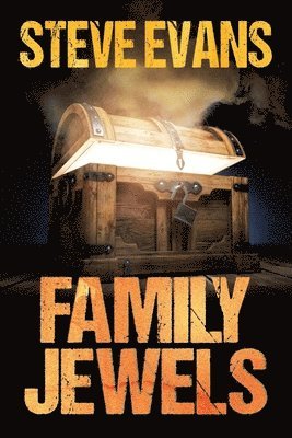 bokomslag Family Jewels