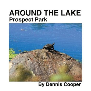 Dennis Cooper - Around the Lake Prospect Park, Häftad