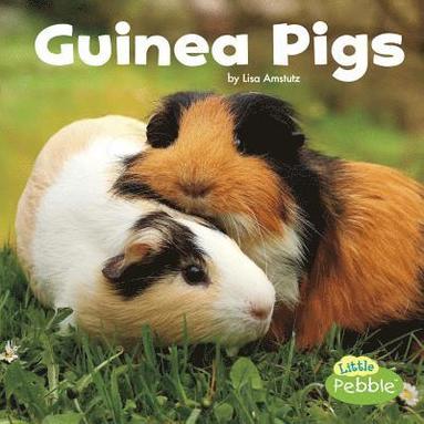 bokomslag Guinea Pigs