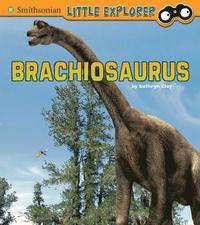 bokomslag Brachiosaurus